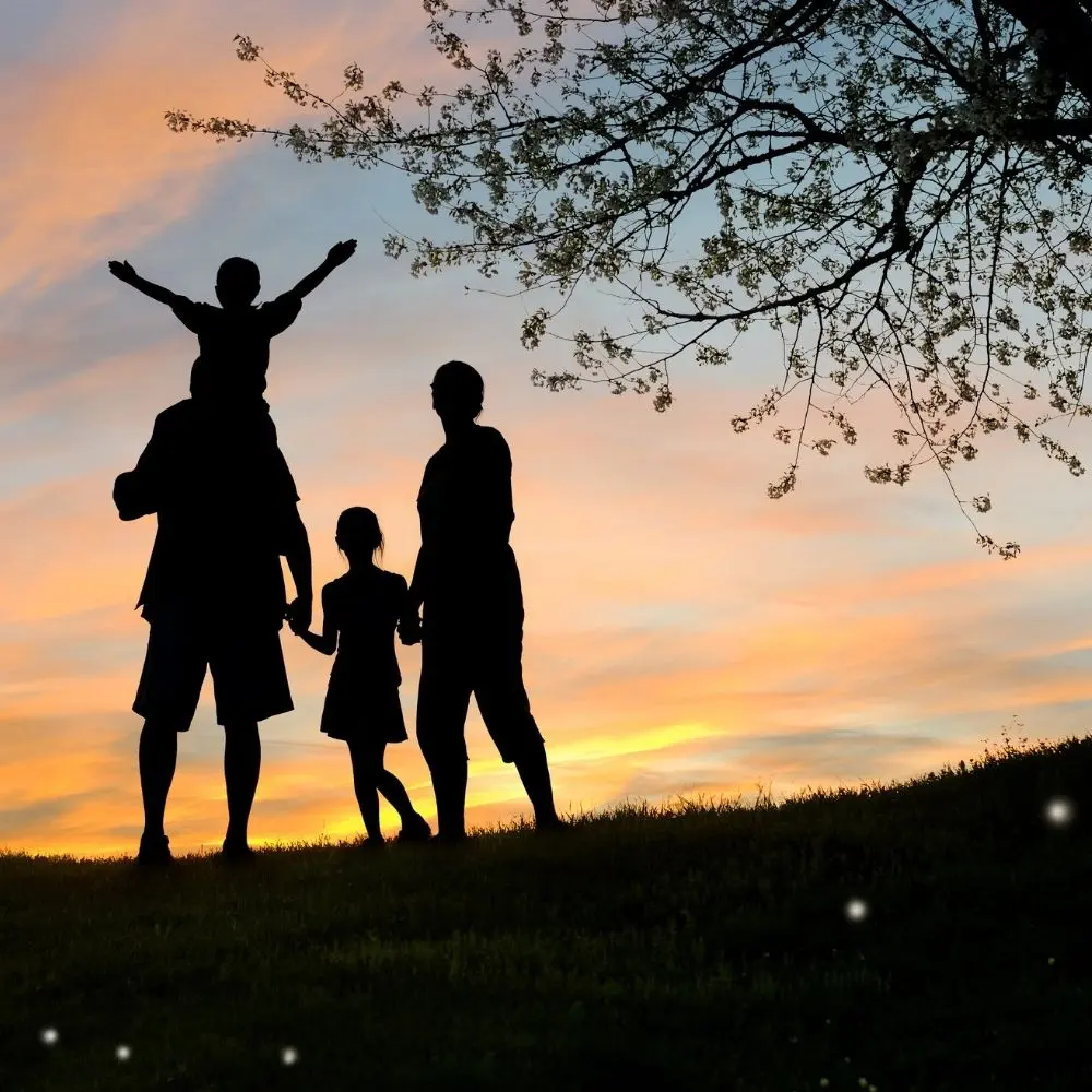 Ai̇le Ve Sosyal Yaşam Danişmanliği Eği̇ti̇mi̇ Yetkinlik ve Kariyer Gelişimi